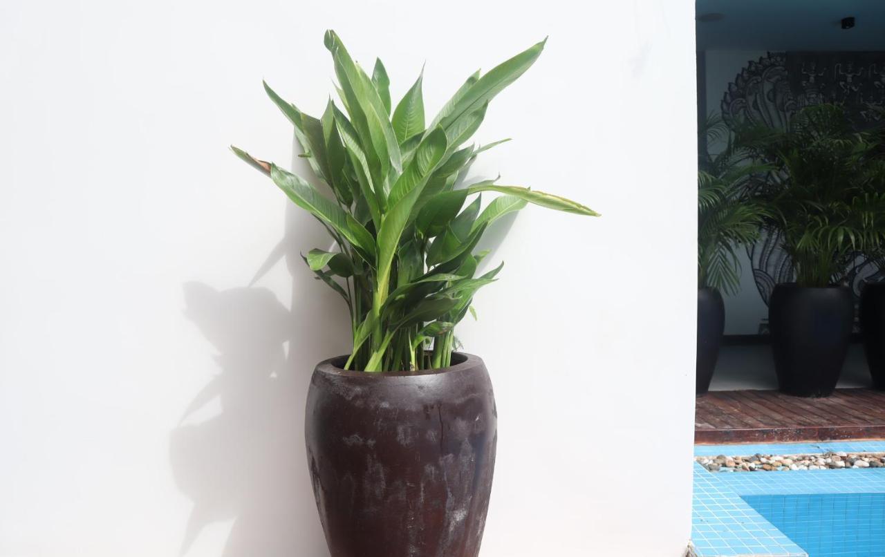 Siem Reap Palace Hotel & Spa Εξωτερικό φωτογραφία
